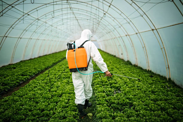Best Affordable Pest Control Services  in Fairdale, PA