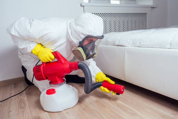 Best Wasp Removal Services  in Fairdale, PA