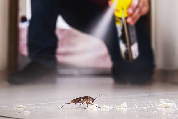 Best Pest Control Treatment  in Fairdale, PA