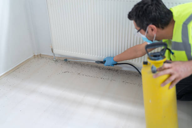 Best Pest Removal Services  in Fairdale, PA